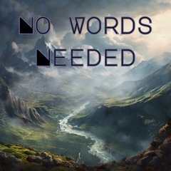 N.W.N (No Words Needed)