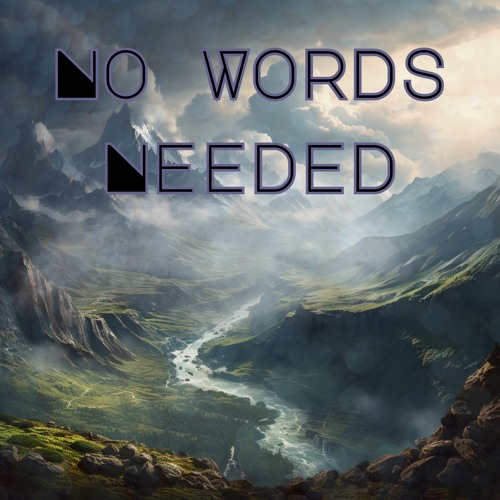 N.W.N (No Words Needed)