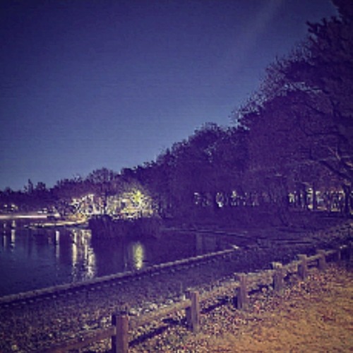 널 향하지 못한 발걸음을 견딜 수 밖에 없었고