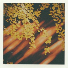 spotmatic (w/ Ozu)