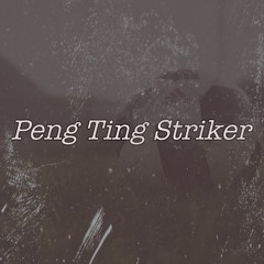 Peng Ting Striker feat. Sniper Mills