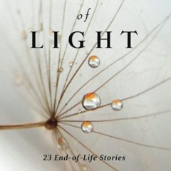 ⚡Read🔥PDF Glint of Light: 23 End-Of-Life Stories