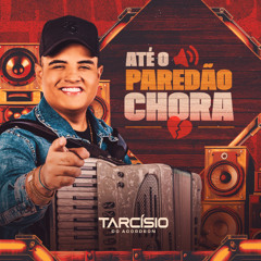 VOCÊ NÃO SABE AMAR - Tarcísio do Acordeon