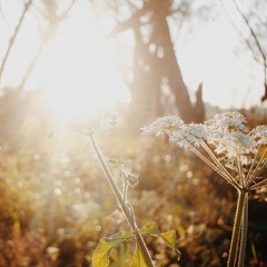 Unite With The Light Of Your Essence