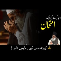 The Life Of The World Is A Test | Dr. Israr Ahmed Official