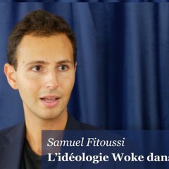 Comment l'idéologie Woke change nos films et nos séries - avec Samuel Fitoussi