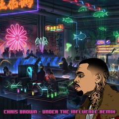 Chris Brown Under The Influence Rmx