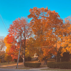 Autumn