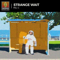 Fel C - Strange Wait