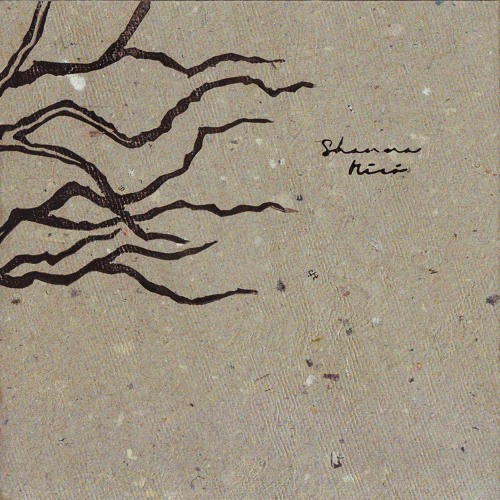 Shanna Nicó - Salty Waves