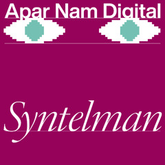 Apar Nam Digital: Syntelman (#6)