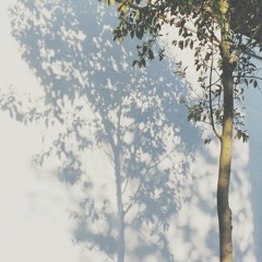 Nắng Đã Làm Má Em Thêm Hồng - WONWOO [AI Cover]