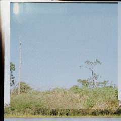 Dream Without Detail (Single)