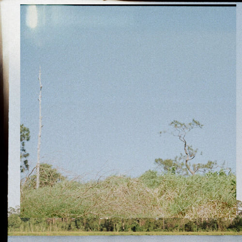 Dream Without Detail (Single)