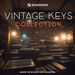 Ras Munch - The Fallout's Afterlight (Library Only) - Soundiron Vintage Keys Collection
