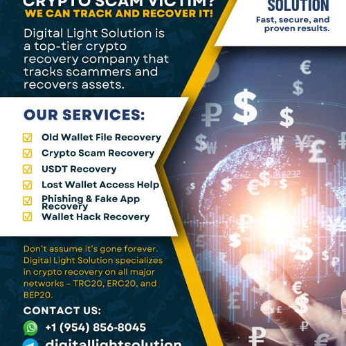 HIRE THE BEST TEAM TO RECOVER YOUR CRYPTO ASSETS NOW — DIGITAL LIGHT SOLUTION