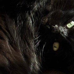 Fragoso - Watersound