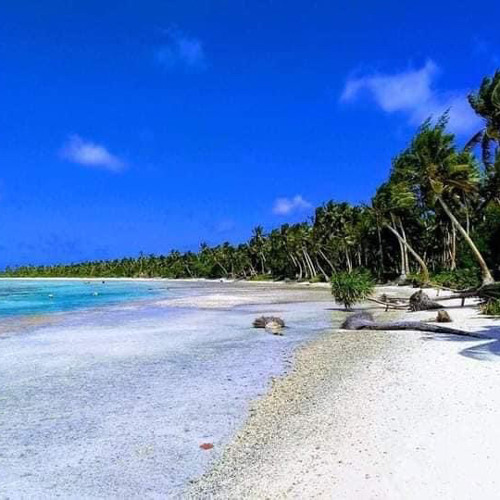 DWei OWNs🇫🇲🇫🇲🤙🏽 4