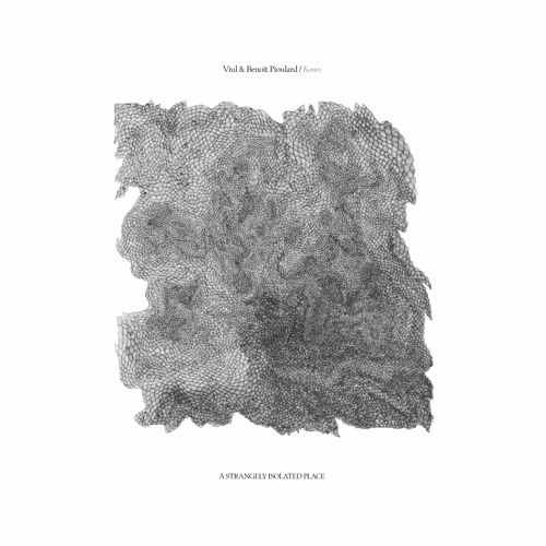 TRACK PREMIERE : Viul & Benoît Pioulard - A Real Place