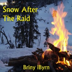 Snow After The Raid