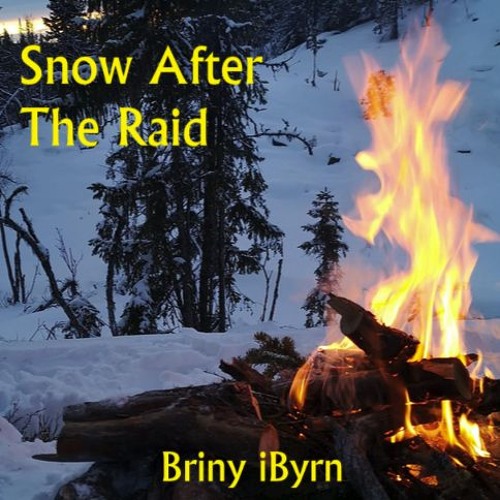 Snow After The Raid