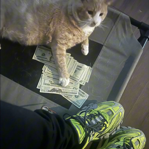 nettspend - Ca$h Cow (prod xaviersobased)