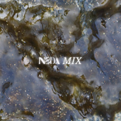 NSDA MIX 005 - Tigerhead