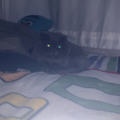 akşama yenisini saramam(ft. YVNGXDESA)