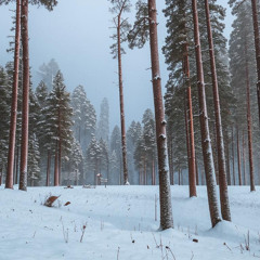 fresh snow