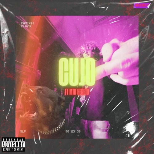 Cujo (feat. MTD Herbio)