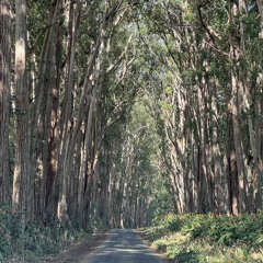 heading south