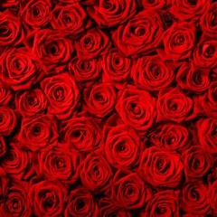 #WillMarshall || [BUNCH OF ROSE] - @DJWILLMARSHALL [MAXI]