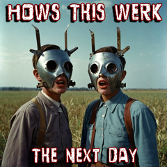 The Next Day