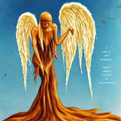I met an angel, she only left a feather