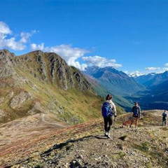Review Special Price Backcountry Eats & Foraging Treats