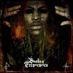 Waka Flocka - 15th And The 1st (Sunken Frequencies Bootleg) [TW]
