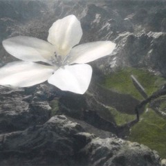 Мне Очень Жаль