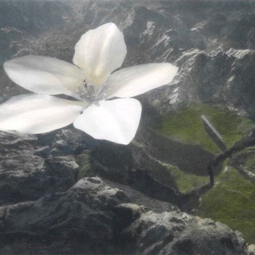 Мне Очень Жаль