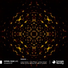 Kernel Panic (AR) - Car (Lindsey Herbert Remix) [SOMA SELECTS Premiere