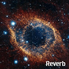 Reverb 13