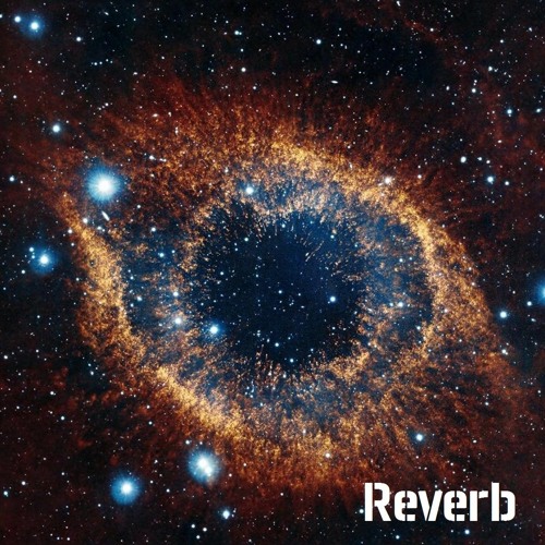 Reverb 13