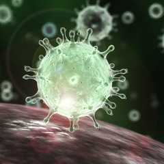 Key Lessons About the Coronavirus by Hassan Somali