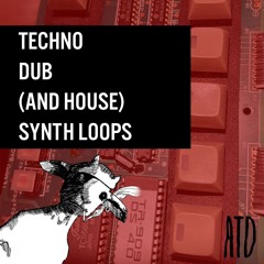 Techno, Dub (And House) Synth Loops Pack