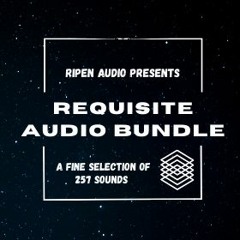 Requisite Bundle demo 1