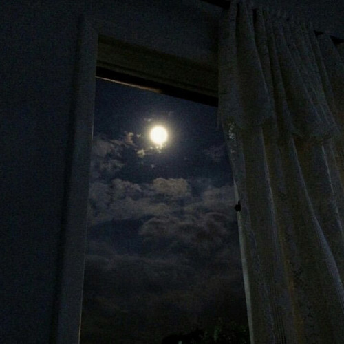 - وين بدّك تروح؟