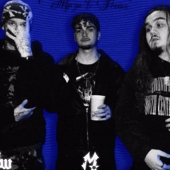 WIEM CO CHCE - Gryzzly, Bary