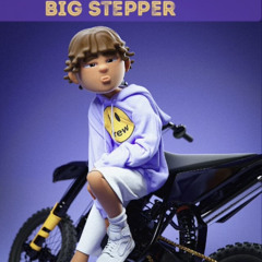 Beefink - Big Stepper