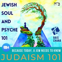 Chassidus 101 - Class 9: Use this knowledge to be the boss of your life. And your feelings!