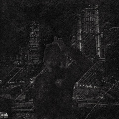 ryn intro (prod. exotiklyfe)