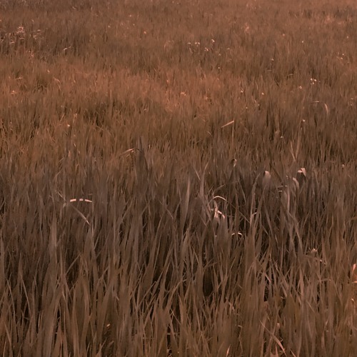 Oneheart - Snowfall (Erick Merge Remix)